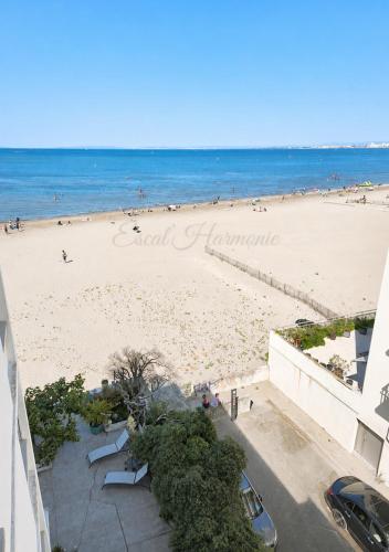Au dessus des Vagues