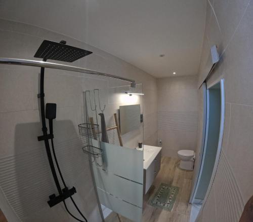 a bathroom with a shower and a sink and a toilet at Chez Marie Line in Saint-Joseph