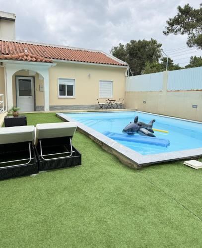 a dolphin laying in a pool with a frisbee at Cozy House in Charneca