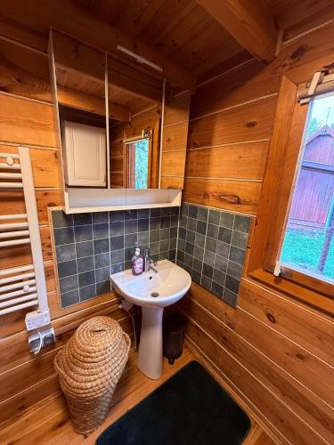 a bathroom with a sink in a wooden cabin at Leonówka in Nowogród
