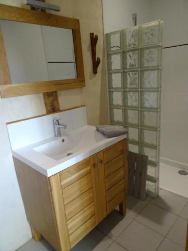 a bathroom with a sink and a mirror at GITE Au Moulié in Blousson-Sérian