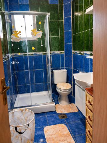 a blue tiled bathroom with a shower and a toilet at Bgd apartman in Kavač