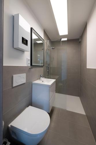 a bathroom with a toilet and a sink at Alleenstraße 66 in Wendlingen am Neckar