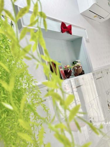 a bow tie on a shelf in a room with plants at Cát Home in Phú Hiệp