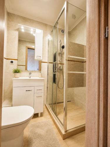 a bathroom with a shower and a toilet and a sink at Magnat Dźwirzyno in Dźwirzyno