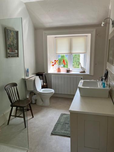 a bathroom with a toilet and a sink and a window at Watercombe House in Wheddon Cross