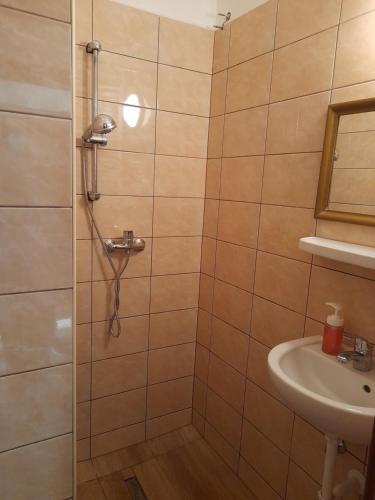 a bathroom with a shower and a sink at Peregrino Vendégház in Budaörs