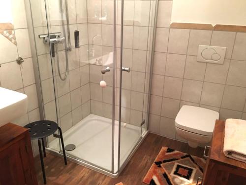ein Bad mit einer Dusche und einem WC in der Unterkunft Willstein in Bad Berleburg