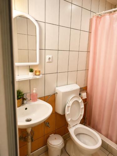 a small bathroom with a toilet and a sink at Apartments Maja in Star Dojran