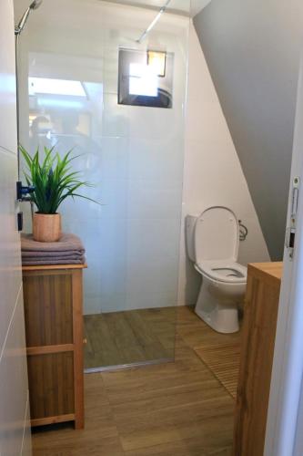 a bathroom with a toilet and a glass shower at RanyA-Frame in Nucşoara