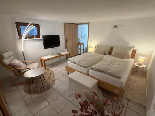 a bedroom with a large bed and a tv at Zwei schöne Ferienwohnungen in der Nähe von Winterberg in Rengershausen