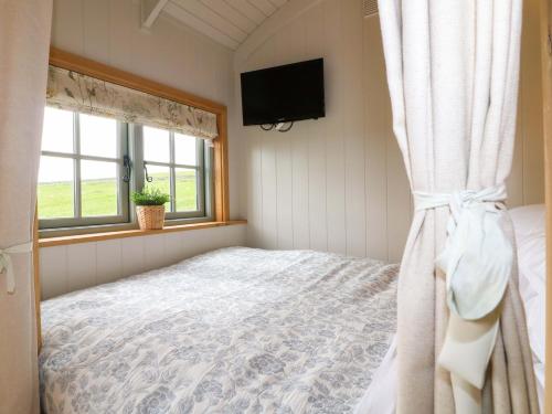 a bedroom with a bed and a tv and a window at Meadow Shepherds Hut in Ashbourne