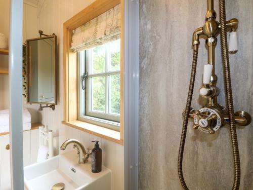 a bathroom with a shower and a sink at Meadow Shepherds Hut in Ashbourne