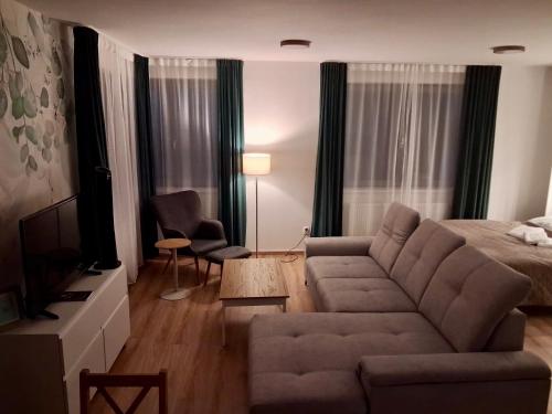 a living room with a couch and a bed at VIRIDIS Apartment in Františkovy Lázně