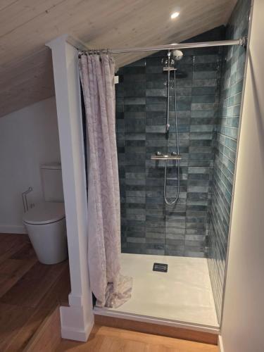 a bathroom with a shower and a toilet at Cantinho nas Varzeas in Loulé