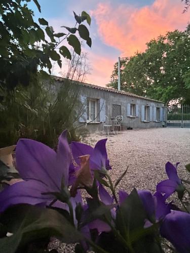 LaPetite Maison Abigail, Peaceful home in Avignon photo 53