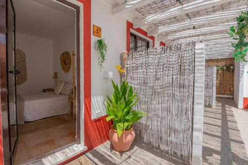 a room with a plant in the middle of a room at Brisa de Milfontes in Vila Nova de Milfontes
