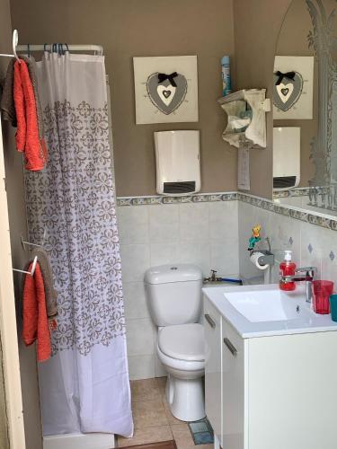 a bathroom with a toilet and a shower curtain at Bastide de montchamp in Malataverne