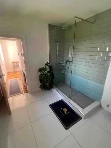a bathroom with a glass shower with a plant at Hackettstown in Ardmore