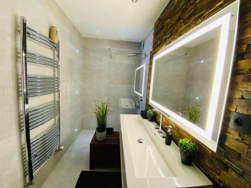 a bathroom with a sink and a brick wall at jolie appartement in Seraing