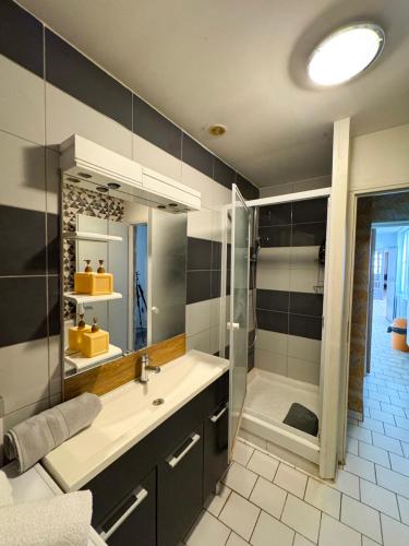 a bathroom with a sink and a shower at Charme et confort - Maison Roubaix 5 chambres in Roubaix