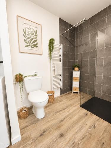 a bathroom with a toilet and a shower at Appartement cosy Beaupréau centre in Beaupréau