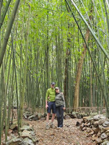 a man and woman standing in a bamboo forest at Phong Nam Station in Bản Piên