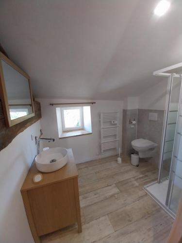 a bathroom with a sink and a toilet at Le sabot de Madame in Lussac-les-Châteaux