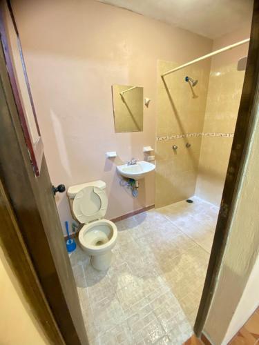 a bathroom with a toilet and a shower and a sink at Accommodation near downtown in San Cristóbal de Las Casas