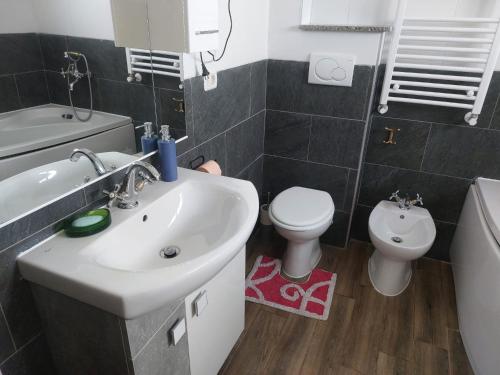 a bathroom with a sink and a toilet at Casa Curcubeu in Ceahlău