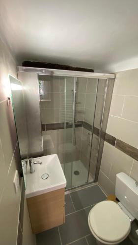 a bathroom with a shower and a toilet and a sink at Studio in Saint-Martin-Vésubie
