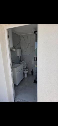 a bathroom with a white toilet in a room at Jezerina in Šavnik
