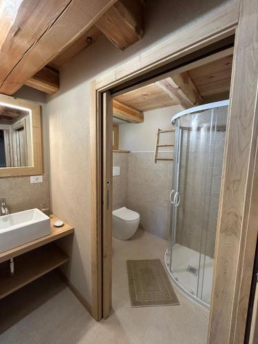 a bathroom with a shower and a toilet and a sink at La Mizoun dë Miquél in Ostana