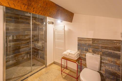 a bathroom with a toilet and a glass shower at Mas Du Pont Rouge in Sylvéréal