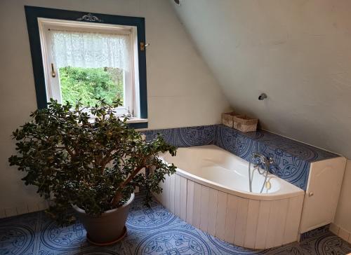 a bath tub in a bathroom with a potted plant at Kitajówka in Bańska Wyżna