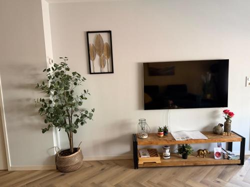a living room with a tv and a table with a plant at Bed & Wellness Chinel Luxe vakantiehuis met Sauna's en Bubbelbad in Sint Annaland