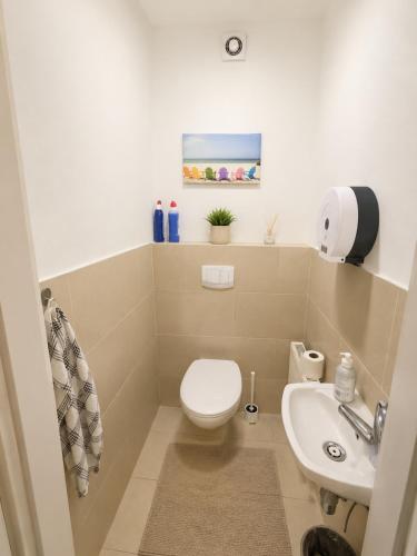 Furnished Room with Terrace in Central Vienna