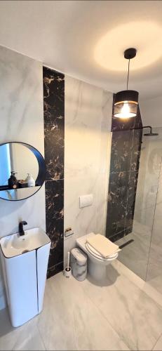 a bathroom with a toilet and a sink at Cabana Bogdan Rânca in Ranca