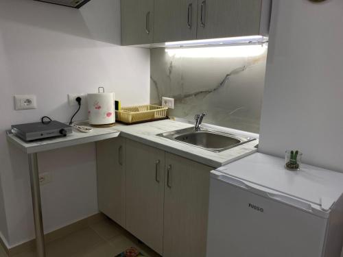 a small kitchen with a sink and a counter at Casa de Flori in Përmet