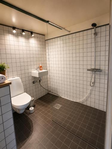 a bathroom with a toilet and a shower at Scandinavian forest retreat in Ljungbyhed