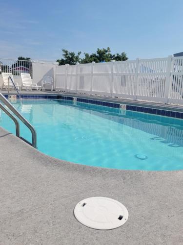 a swimming pool with a frisbee in the water at Atlantis Inn in Rehoboth Beach