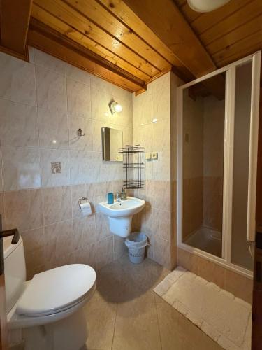 a bathroom with a toilet and a sink and a shower at Apartmán Lukáš in Ždiar