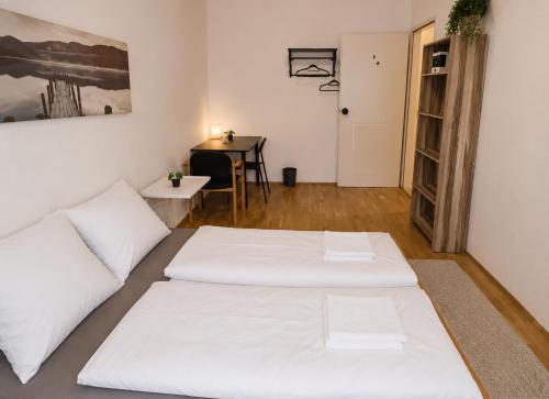 Comfortable Furnished Room in Central Vienna Shared Apartment
