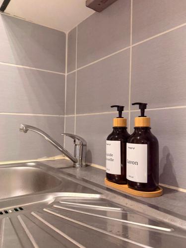 two bottles of soap sitting on a counter next to a sink at Studio le Desman des Neiges - Hyper centre - Proche thermes et télécabine in Cauterets