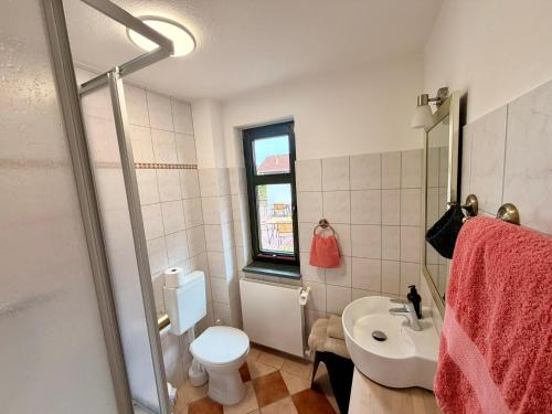 a bathroom with a white toilet and a sink at Wohnung in Dargun mit Garten in Barlin