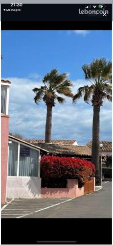 Casa sand photo 10