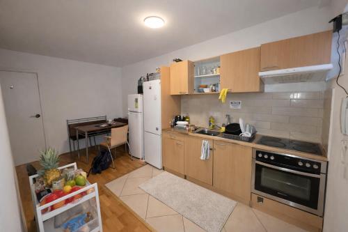 Cozy Furnished Room with Terrace Top Floor in Vienna