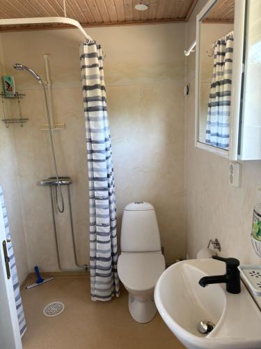 a bathroom with a toilet and a sink and a shower at Lilla stugan Orust in Svanesund