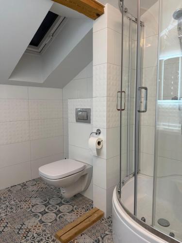 a bathroom with a toilet and a shower at Villa Bianca in Mikołajki