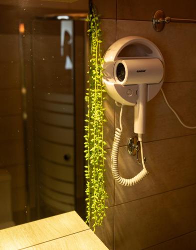 a hair dryer on a wall with a ivy at Solena Residences in Syvota